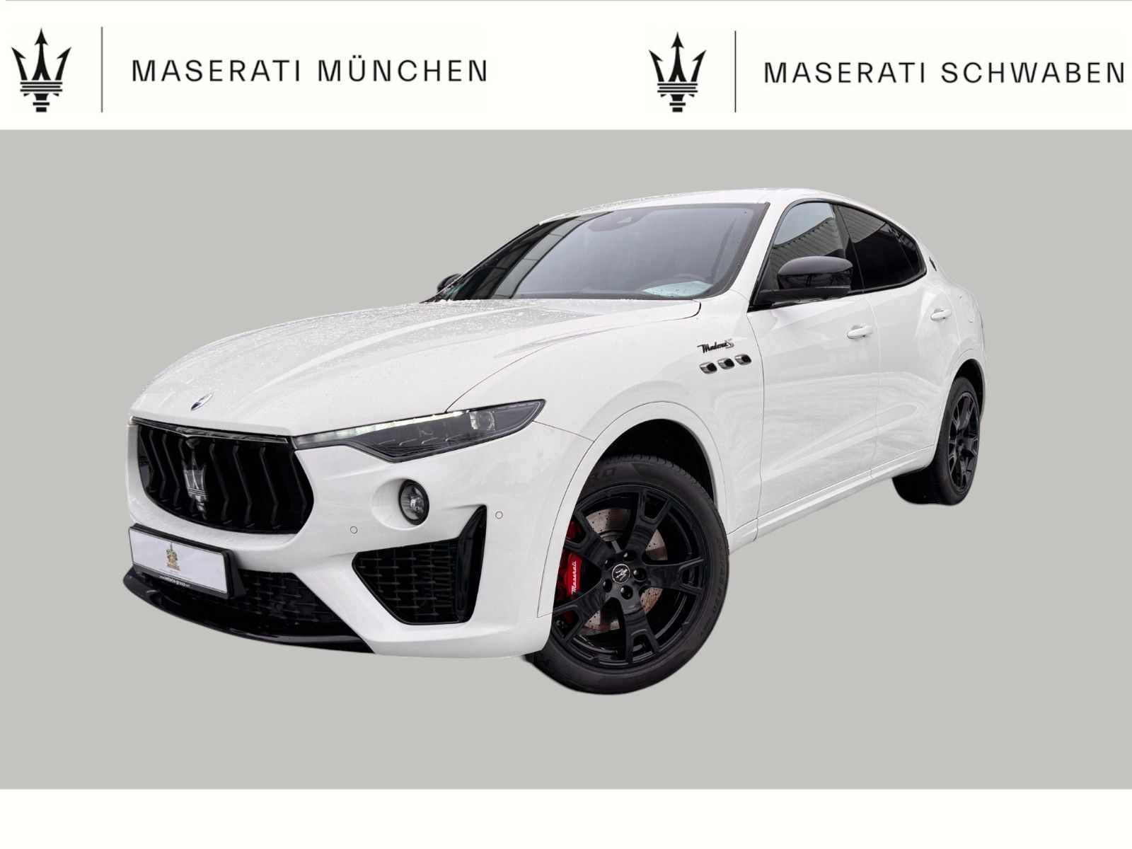 Maserati Levante Modena S/12M Garantie/AHK/1.Hd.