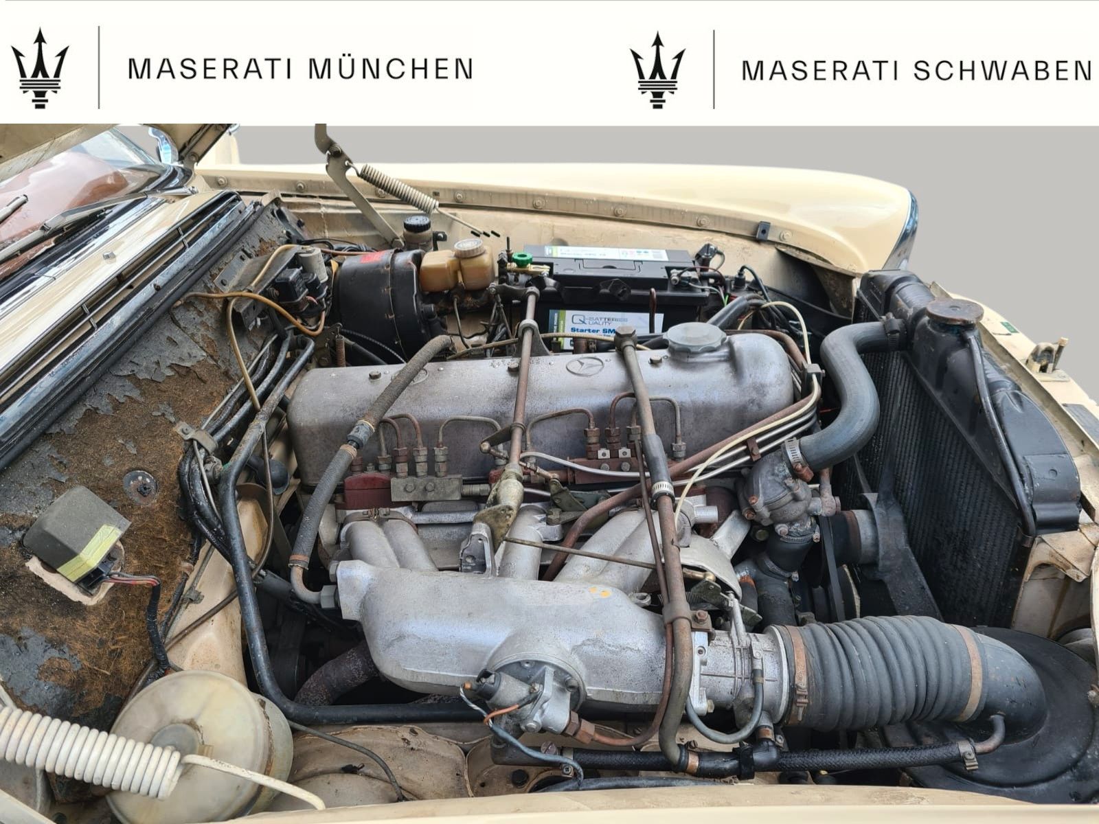 Fahrzeugabbildung Mercedes-Benz 220 SEb/C/Servolenkung/SSD/im Kundenauftrag!