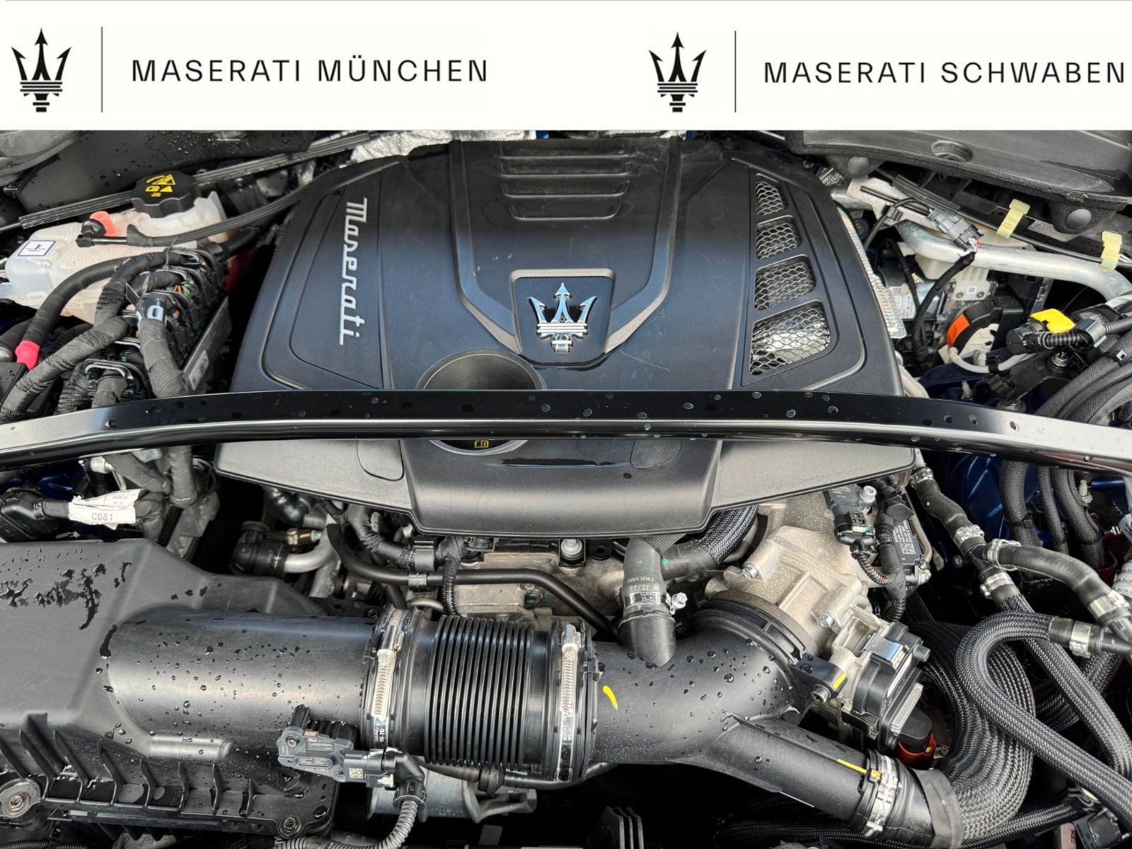 Fahrzeugabbildung Maserati Grecale/ Head-Up/ Panoramadach/ TOP