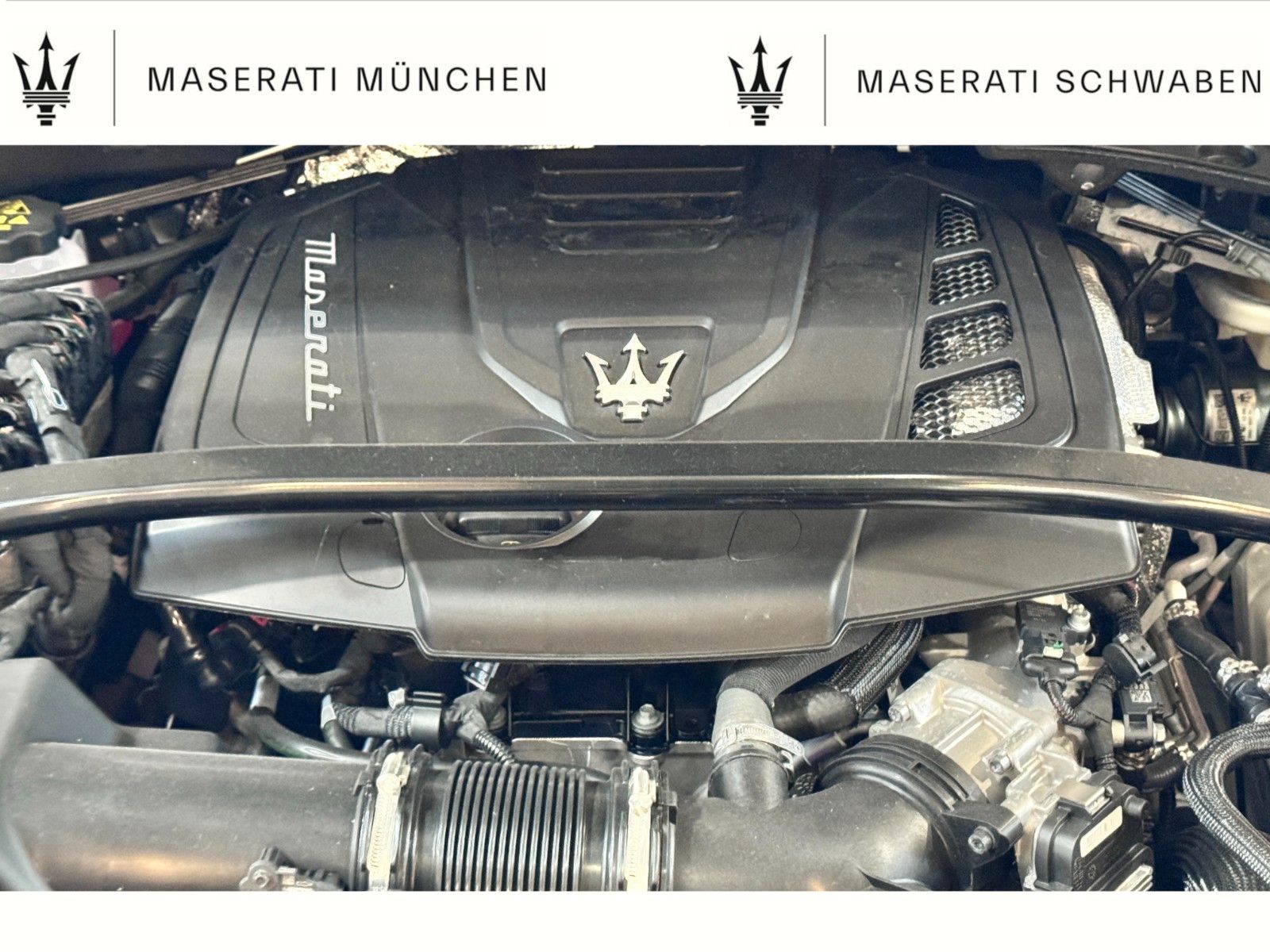 Fahrzeugabbildung Maserati Grecale PANO/Technikpak./ Ganzjahresreifen Alpin