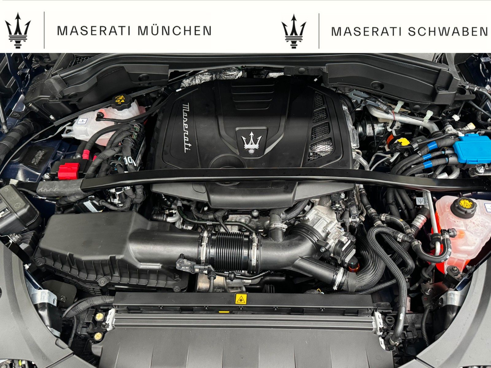 Fahrzeugabbildung Maserati Grecale Modena/Lumina/ Wartungspaket