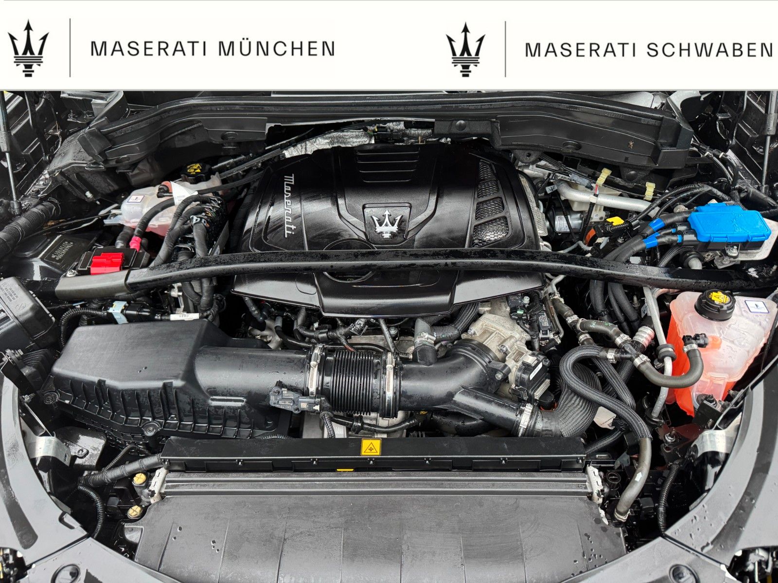 Fahrzeugabbildung Maserati Grecale Modena/Lumina/ Wartungspaket